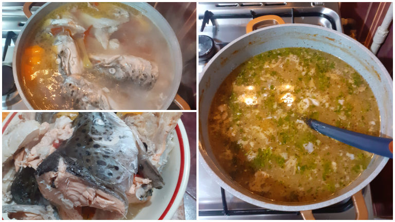 Ciorbă de somon. Sursa foto : proprie / photo collage