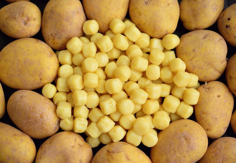 Gnocchi - istorie și tradiții italiene. Sursa foto : pixabay / congerdesign